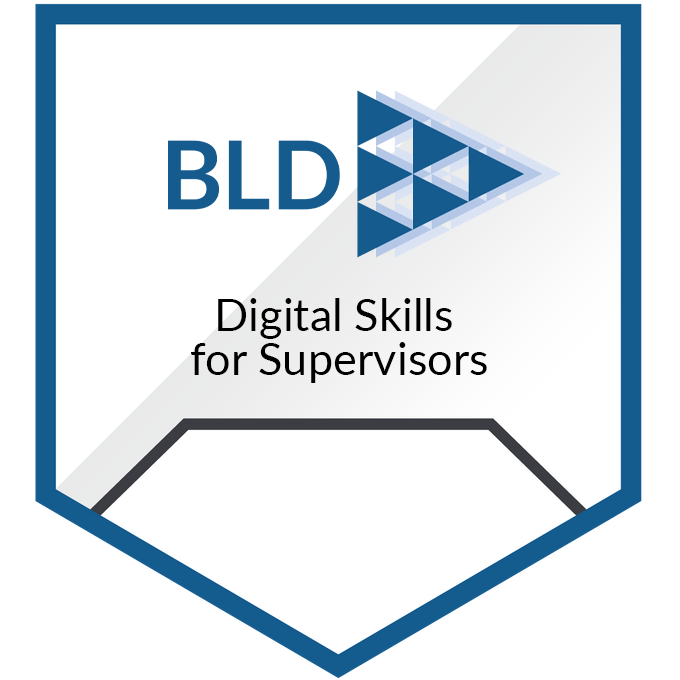 Digital Skills for Supervisors