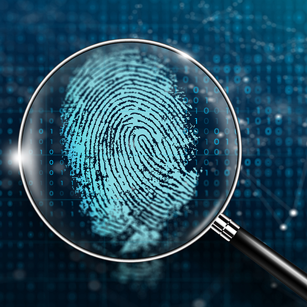 Digital Investigation